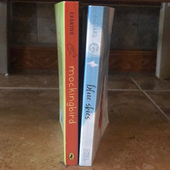 mockingbird by Kathryn Erskine and blue skies by Anne Bustard. - Picture 2 of 4